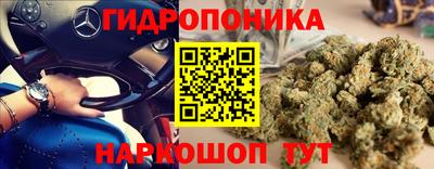 сатива Северобайкальск