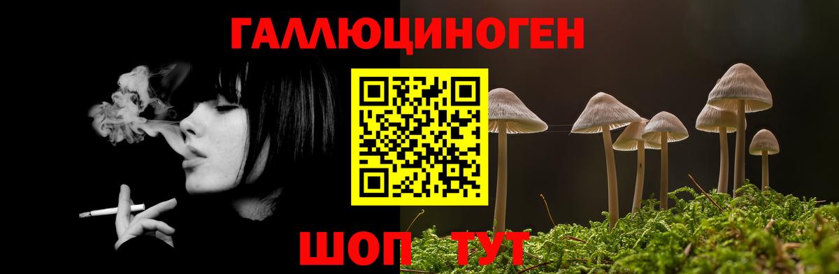 Псилоцибиновые грибы Magic Shrooms Новошахтинск
